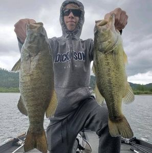 Meet your Posher, Coye